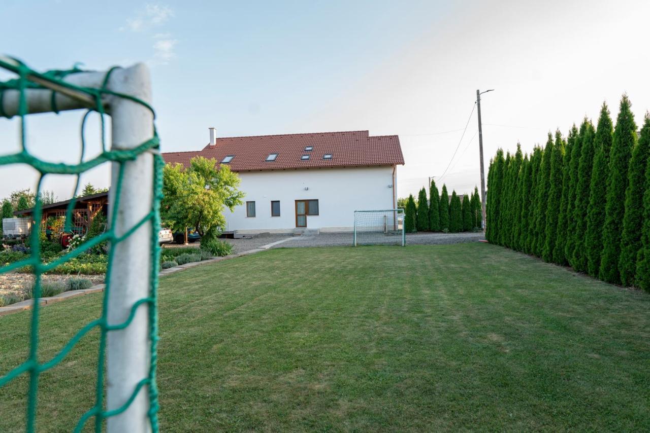 Pensiunea Gassi Sancraiu de Mures 外观 照片