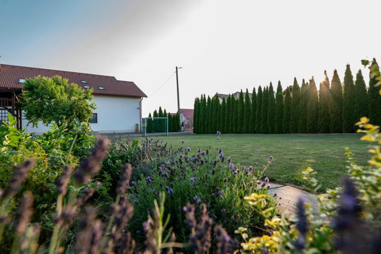 Pensiunea Gassi Sancraiu de Mures 外观 照片